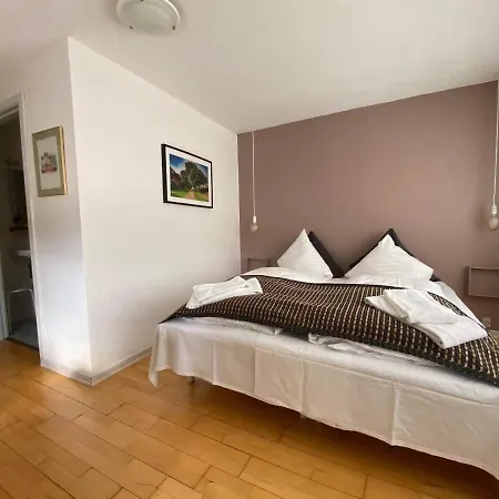 Hotel Hojer